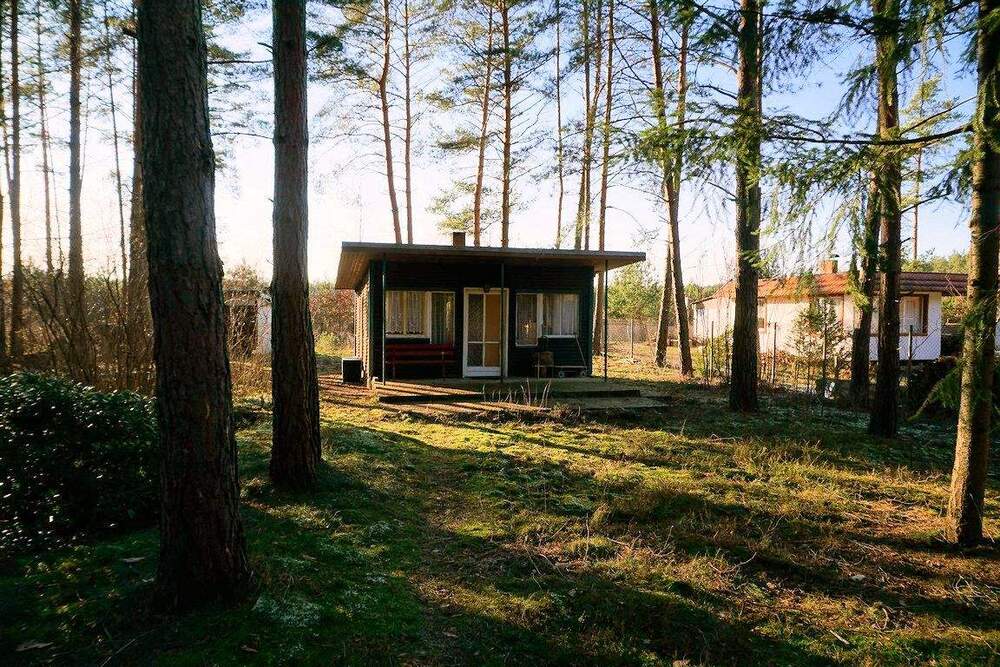 Thumbnail-Ein Freizeitgrundstück im Wald bei Beelitz