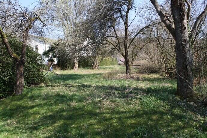 Thumbnail-Ebenes, erhöhtes Baugrundstück in zentraler Lage von Bad Laasphe