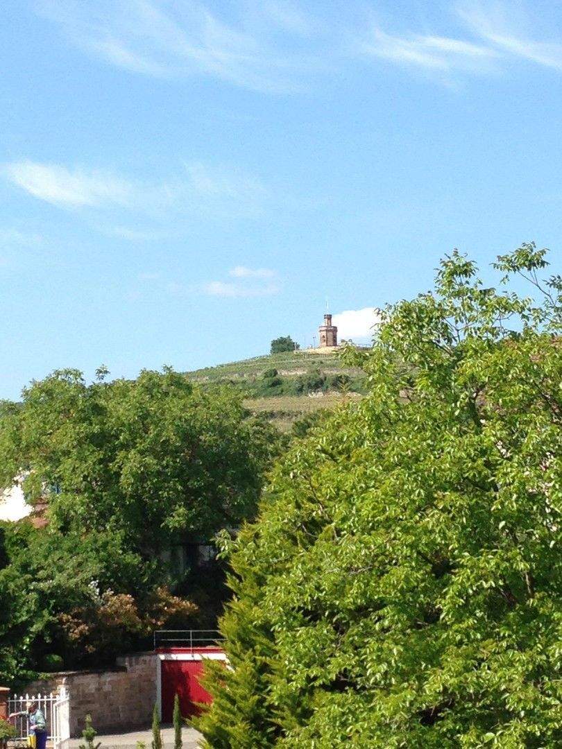 Thumbnail-Blick & Lage!! helle - unvermietete 3,5 Zimmerwohnung ca. 88 qm mit Südbalkon