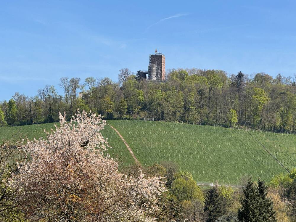 Blick zum Turmberg