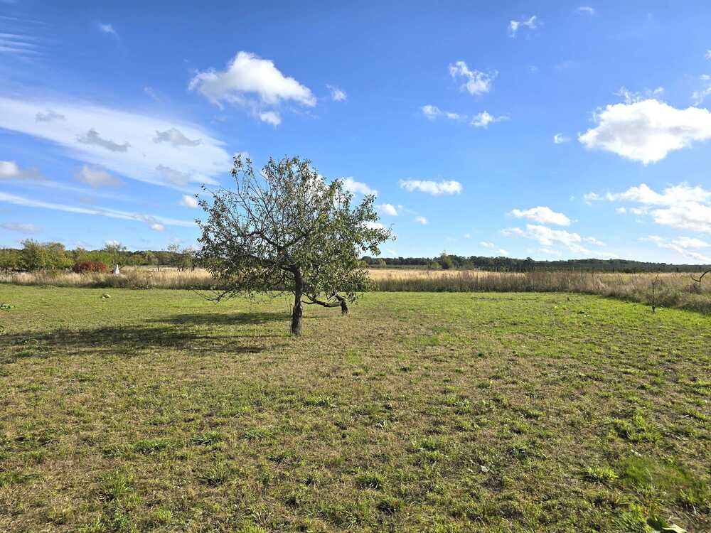 Thumbnail-Großes Grundstück in ruhige Lage - Ideal für Pferde und Gemüseanbau