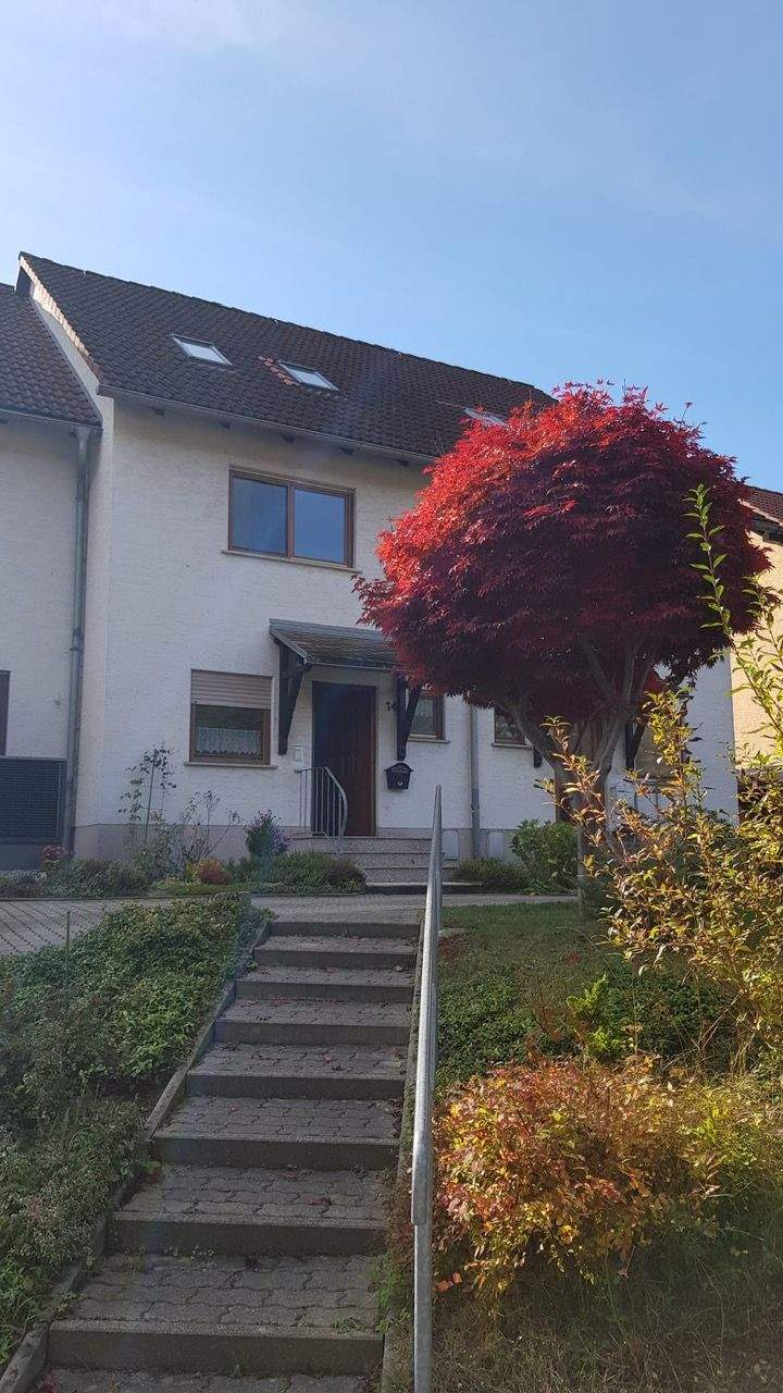 Thumbnail-Raumwunder - Attraktives Reihenhaus mit kleinem Garten in Schmölln-Putzkau