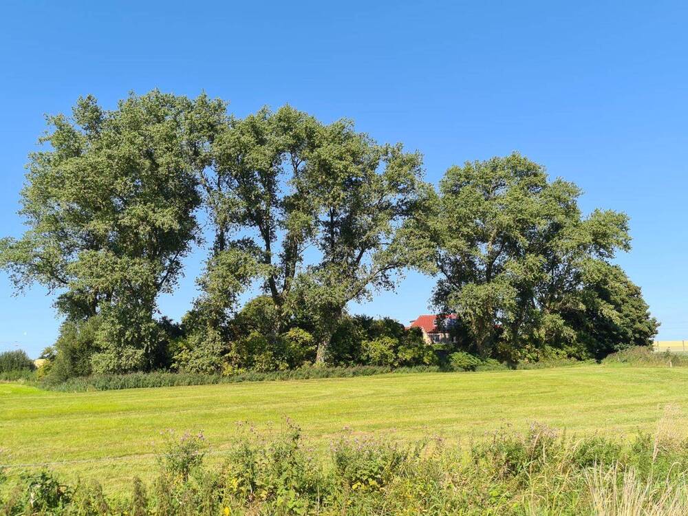 Thumbnail-Doppelhaus mit Einliegerwohnung in Alleinlage von Varel-Streek