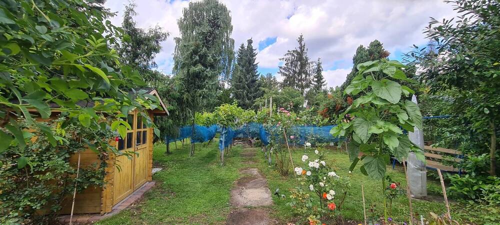 Thumbnail-Baugrund für EFH in gewachsener Schmöckwitzer Wohnlage