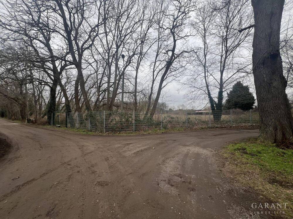 Blick aufs Grundstück