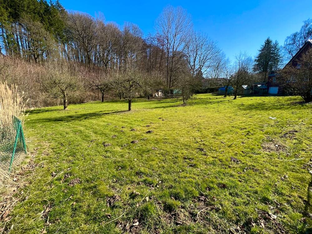 Thumbnail-Hoberge Traumgrundstück