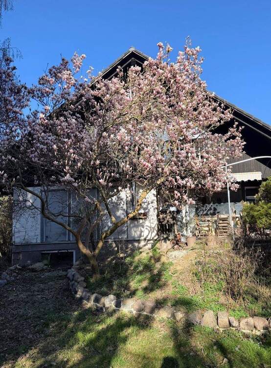 Thumbnail-Provisionsfrei in Kladow - Freistehendes Haus mit Naturgarten, Photovoltaik für die Großfamilie