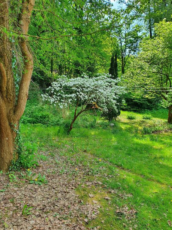 Thumbnail-Neubau: Energieeffiziente Doppelhaushälften in begehrter Lage von Heiligensee