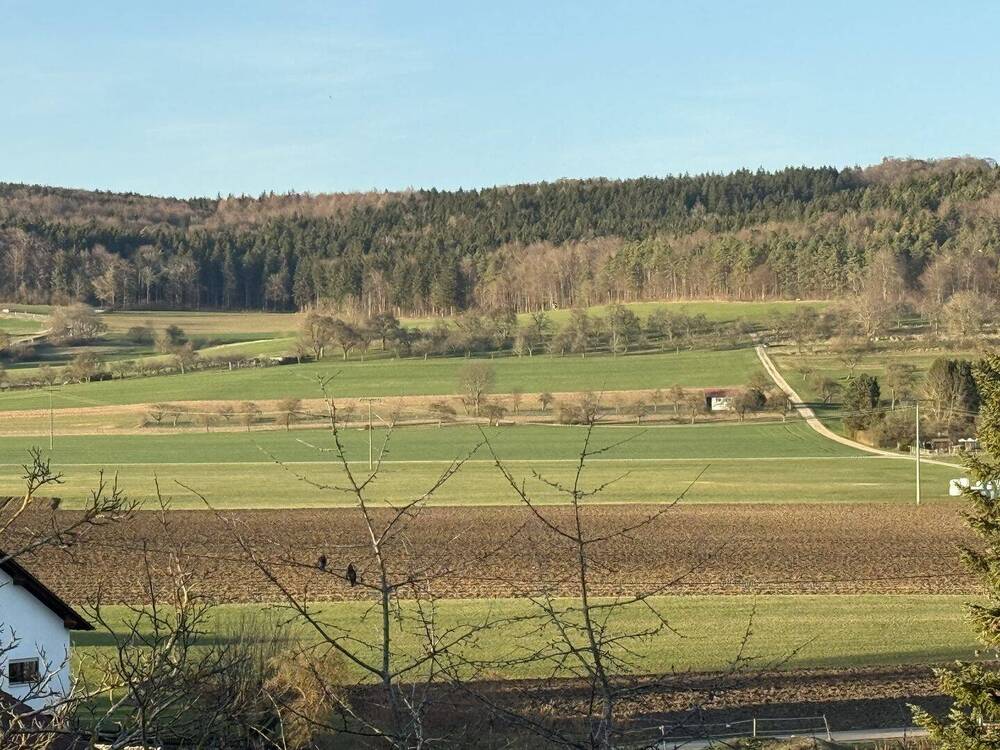 Thumbnail-Aussicht Pur! Zweifamilienhaus mit ELW und Gewerbeeinheit in Langenenslingen