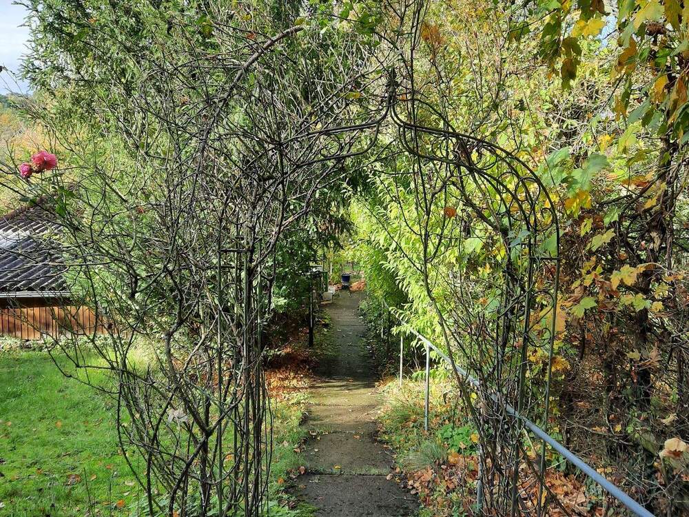 Thumbnail-Seltenes großes Freizeitgrundstück mit Wochenendhaus und Obstbäumen im Waldgebiet