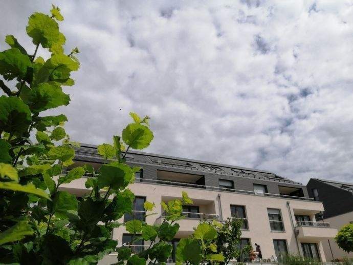 Thumbnail-Modern Wohnen in Guxhagen