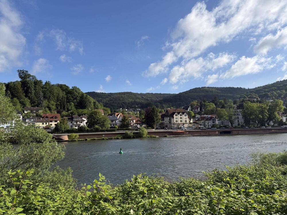 Thumbnail-Exklusives Grundstück in Ziegelhausen - Erste Reihe am Neckar