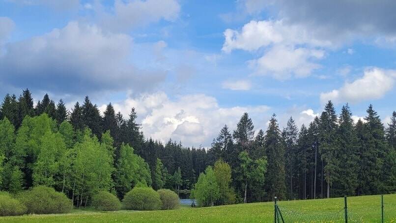 hinteres Flurstück führt fast bis zum Teich