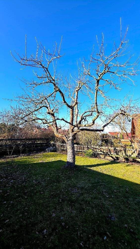 Thumbnail-Großzügiges EFH mit großem Grundstück in Schwülper OT Rothemühle