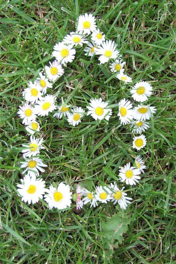 Thumbnail-Top Baugrundstück in bester Wohnlage von Bad Bevensen