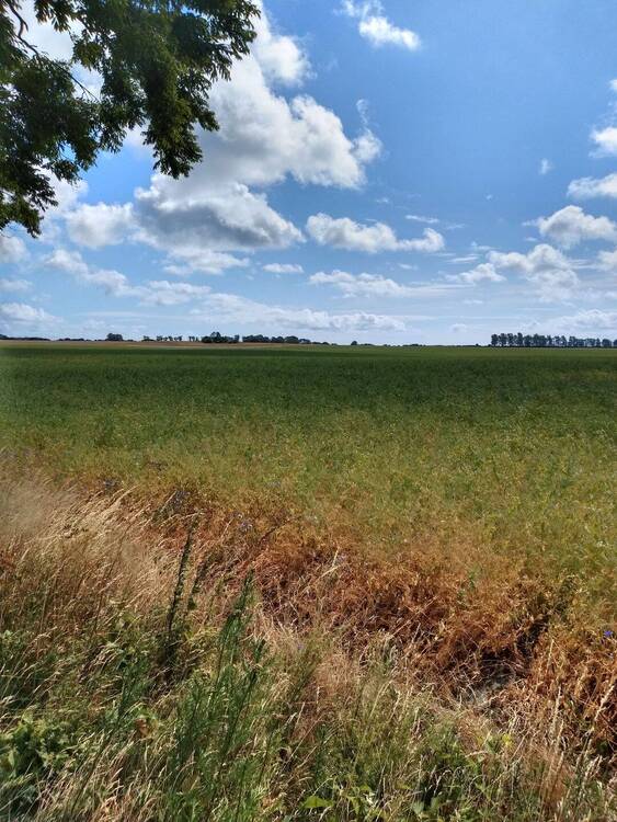 Thumbnail-Grundstück in Stadtnähe