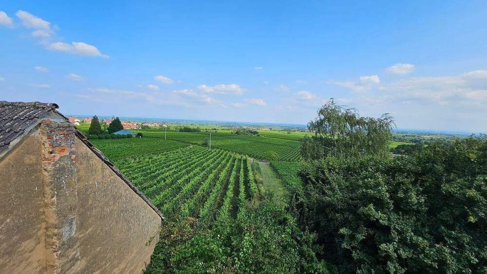 Thumbnail-Denkmalgeschütztes ehemaliges Winzeranwesen mit einzigartigem Blick in die Rheinebene