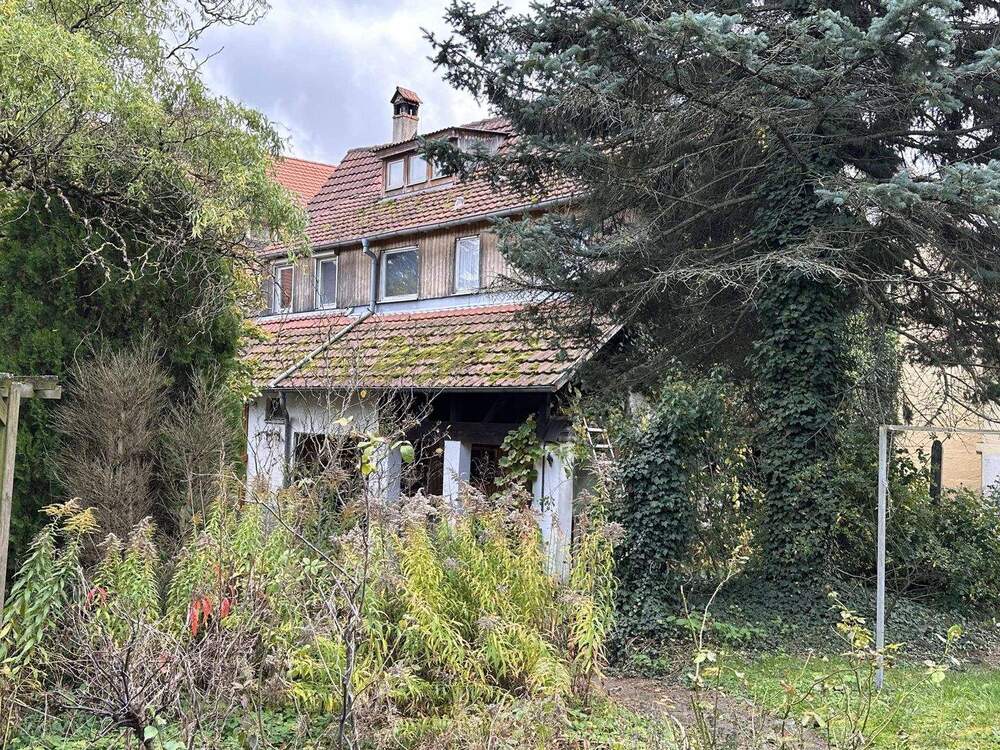 Thumbnail-Nix für Stümper & Murkser: Sanierungsbedürftiges Haus sucht Bauprofi... aber das Grundstück ist ein kleines Paradies