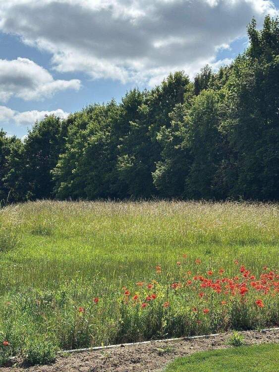 Thumbnail-Baugrundstück in Niederwerrn - Ortsrand