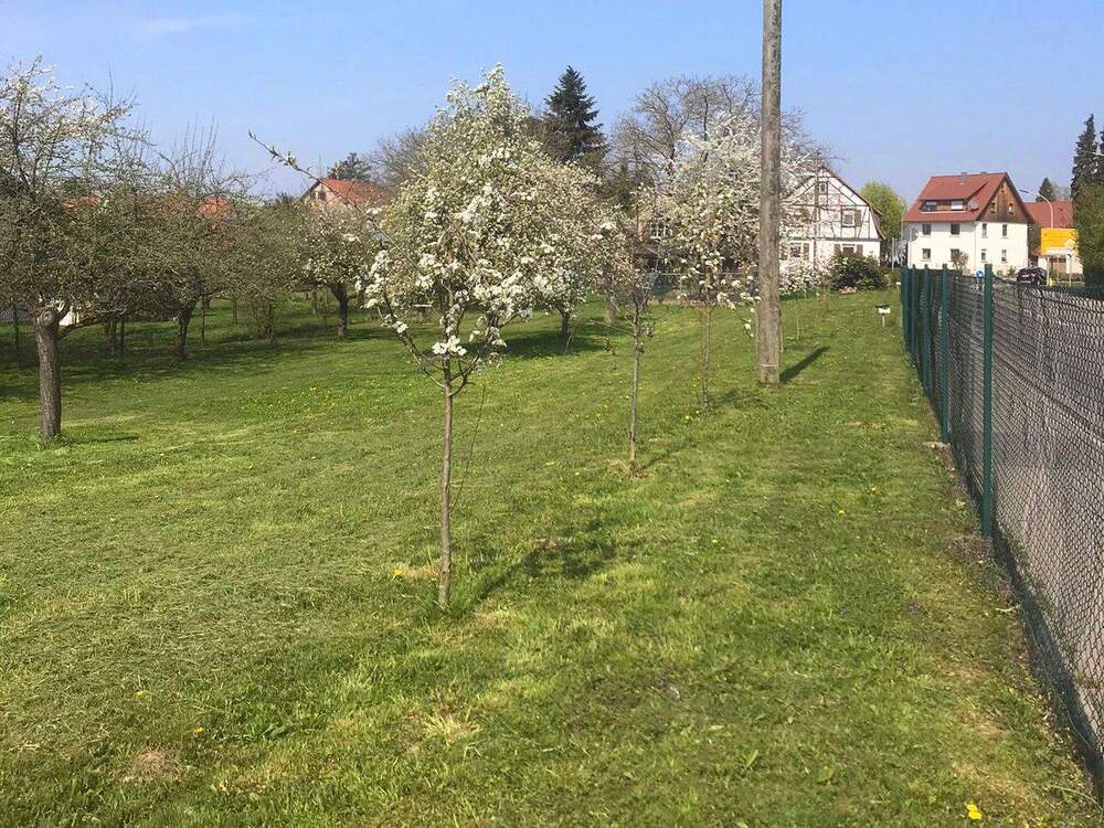 Thumbnail-Großzügiges Grundstück mit vielseitigen Bebauungsmöglichkeiten
