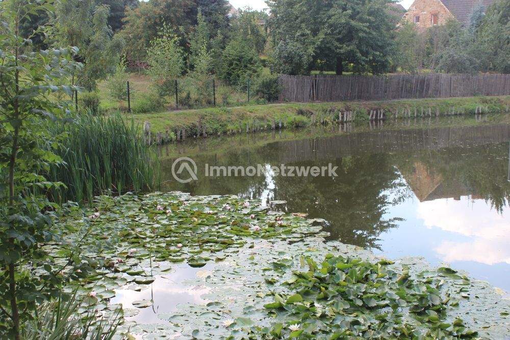 Thumbnail-Intel-Nähe, wunderschönes Grundstück im Ortsteil der Stadt Wanzleben-Börde