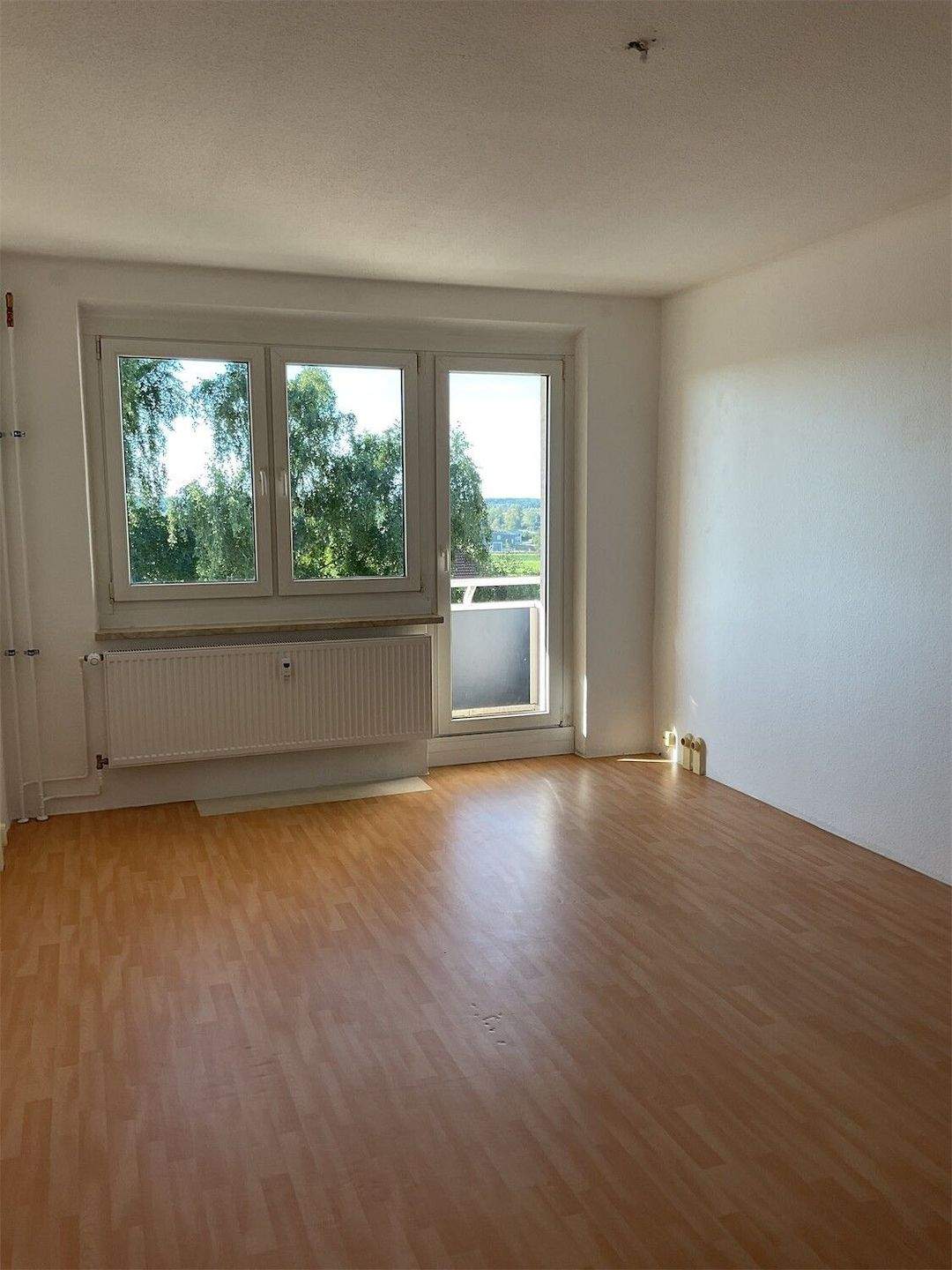 Thumbnail-Fritz-Reuter-Straße 19 (3. OG, Links)