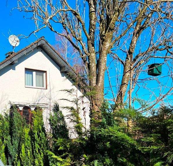 Thumbnail-Ein- bis Zweifamilienhaus mit 