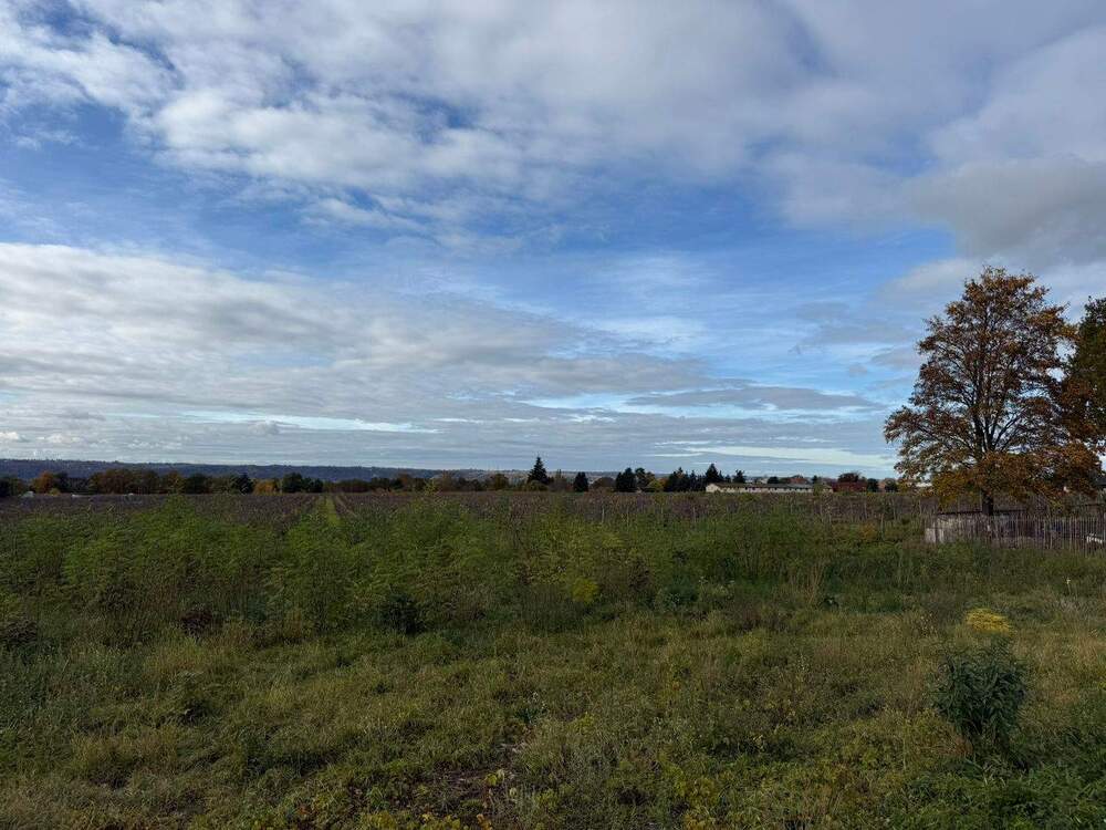 Thumbnail-Baugrundstück in Weinböhla ++ Ruhige Höhenlage - gemächlich an den Weinbergen