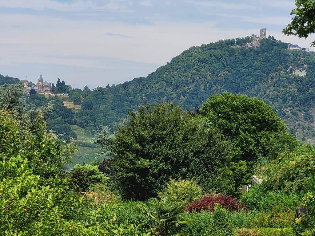 Thumbnail-Aussichtsreich am Rodderberghang 1.698 m² Grundstück Bonn-Mehlem
