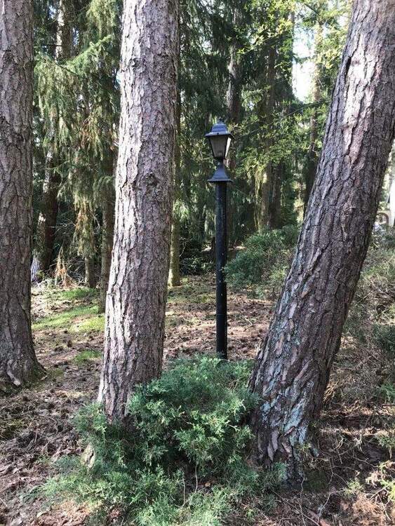 Thumbnail-Besondere Gelegenheit pos. Bauvoranfrage - Lindwedel direkt