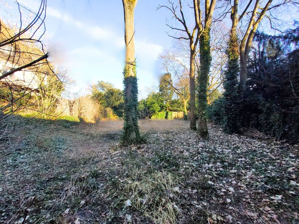 Sicht von vorne