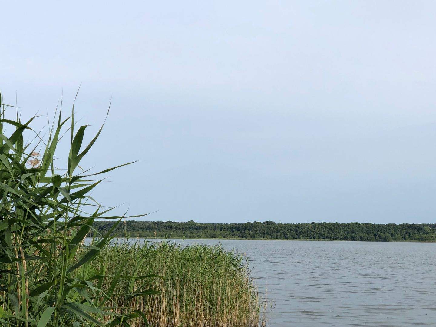 Thumbnail-4-Raumwohnung mit praktischem Grundriss, 2 Bädern und Balkon mit Seeblick