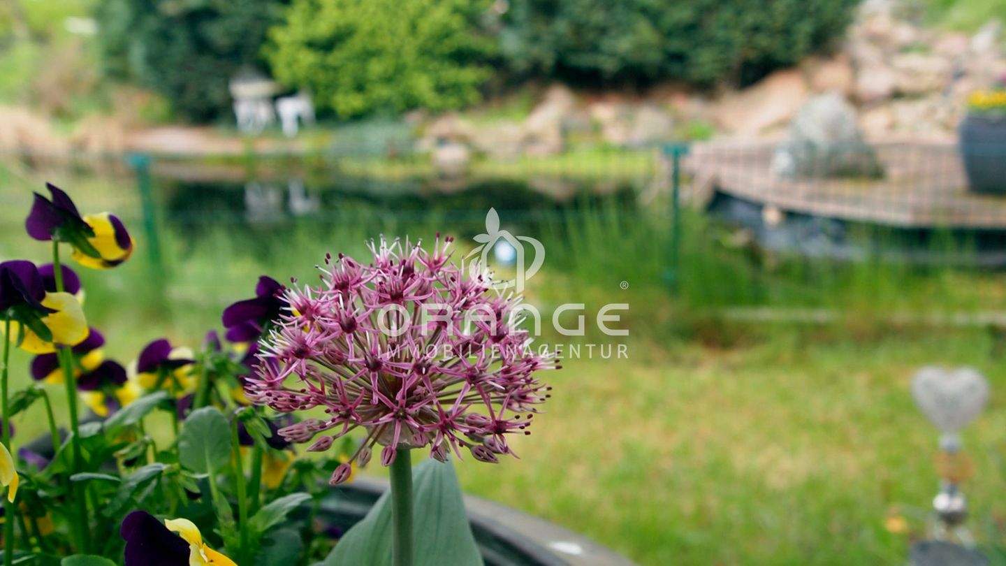 Thumbnail-***Haus mit zwei Wohneinheiten, großem Garten, Teich und vielen Extras***