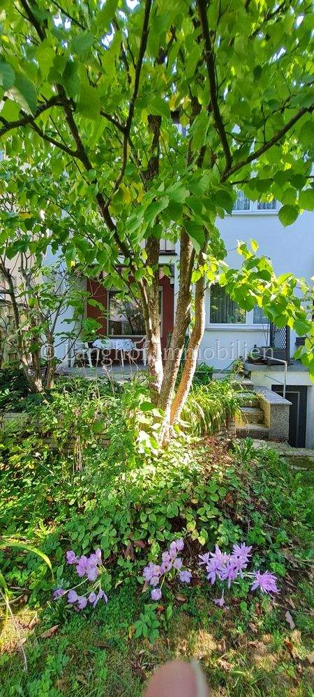 Thumbnail-Charmantes Reihenmittelhaus mit Garten -ruhig wohnen am Waldrand-Potenzial für die ganze Familie