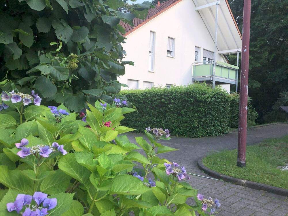 Thumbnail-Wohnen, wo andere spazieren gehen – 2-Zimmer-Traum bei Moritzburg!