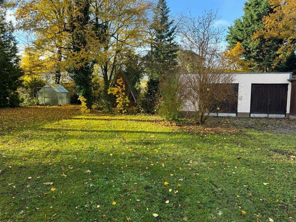 Thumbnail-Haus im Dornröschenschlaf.