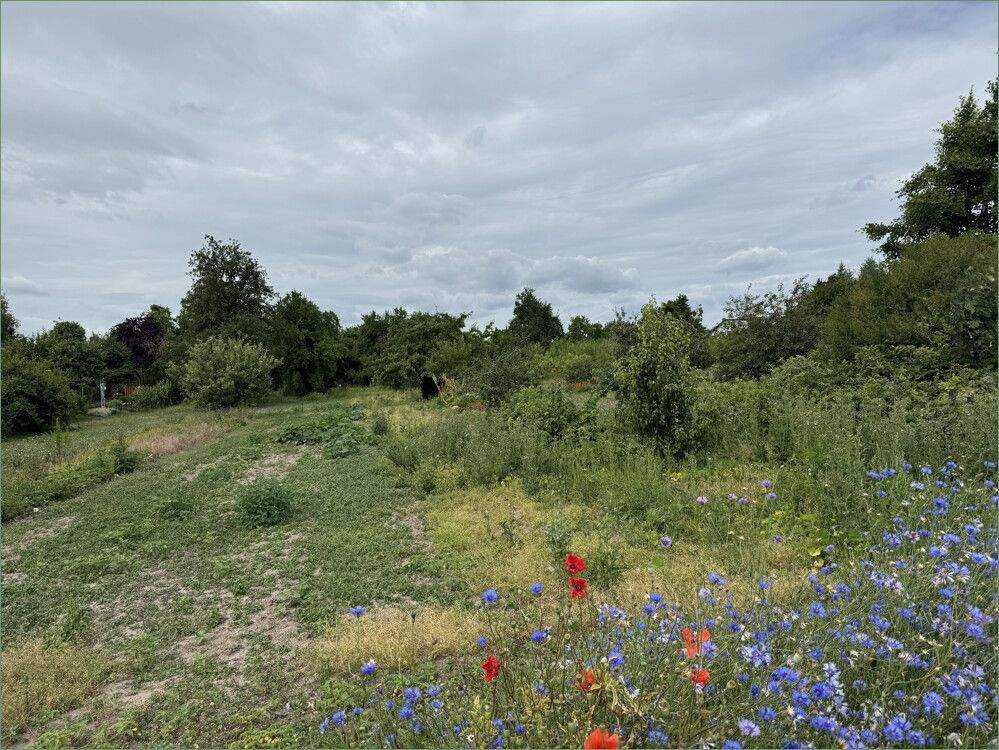 Thumbnail-Bauland im Mischgebiet ca. 5.800 m² Hohe Börde OT Niederndodeleben