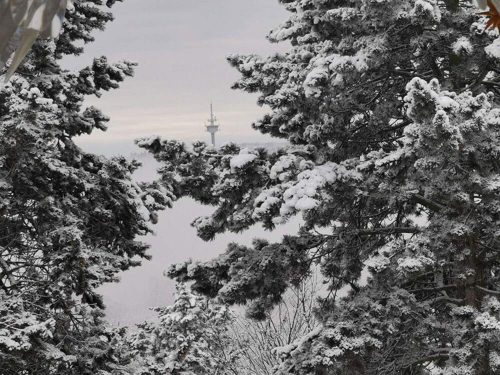 Thumbnail-Traumhaftes Mehrgenerationenhaus: Pool, Panoramablick & Ruheoase - nur 30 Min. v. FFMWiesbaden