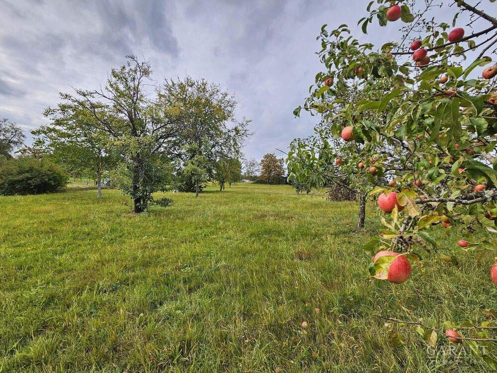 Thumbnail-!! Landidylle pur !!