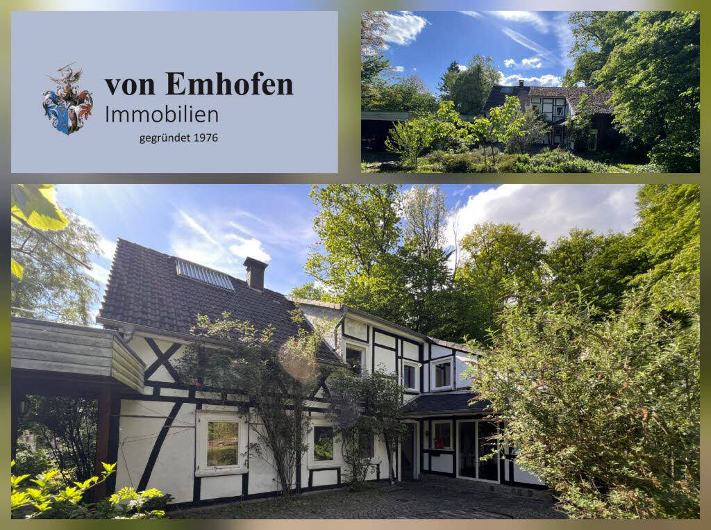 Bild1