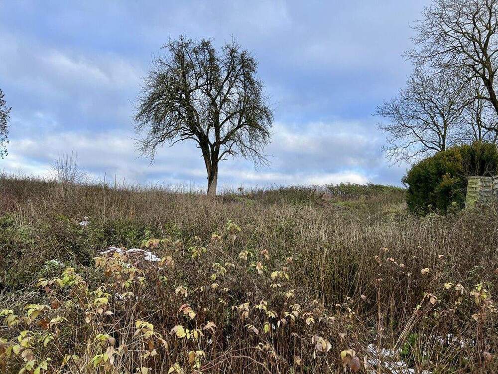 Thumbnail-Im Grünen zuhause - in der Stadt in kurzer Zeit