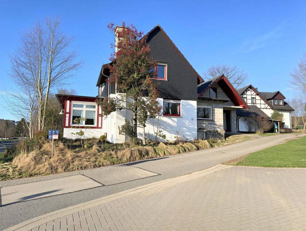 Thumbnail-Rohdiamant sucht Visionär