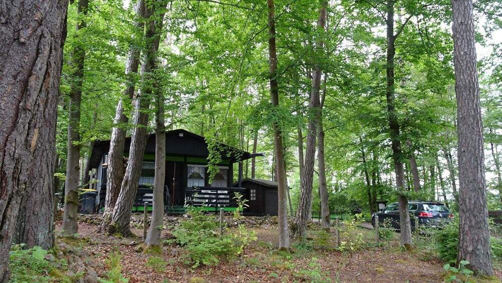 Thumbnail-Ferienhaus in waldreicher Höhenlage