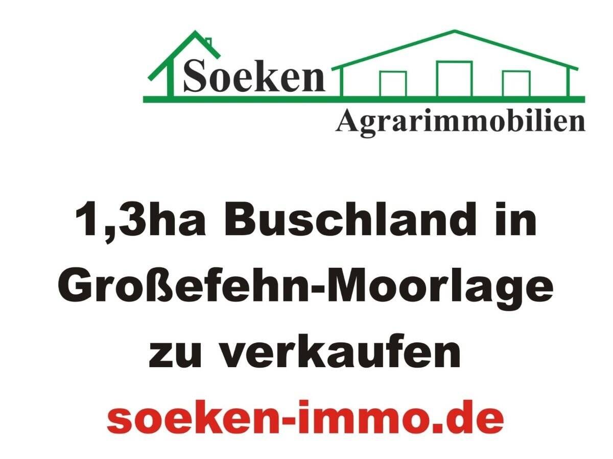 Thumbnail-Buschgrundstück in Moorlage zu verkaufen HF2308a