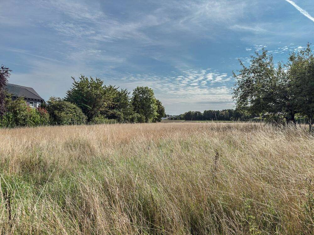 schöne und ruhige Feldrandlage