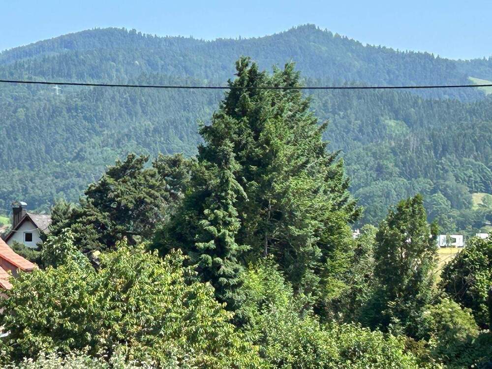 Thumbnail-Ruhiges residieren im Dreisamtal - DG Wohnung mit Weitblick