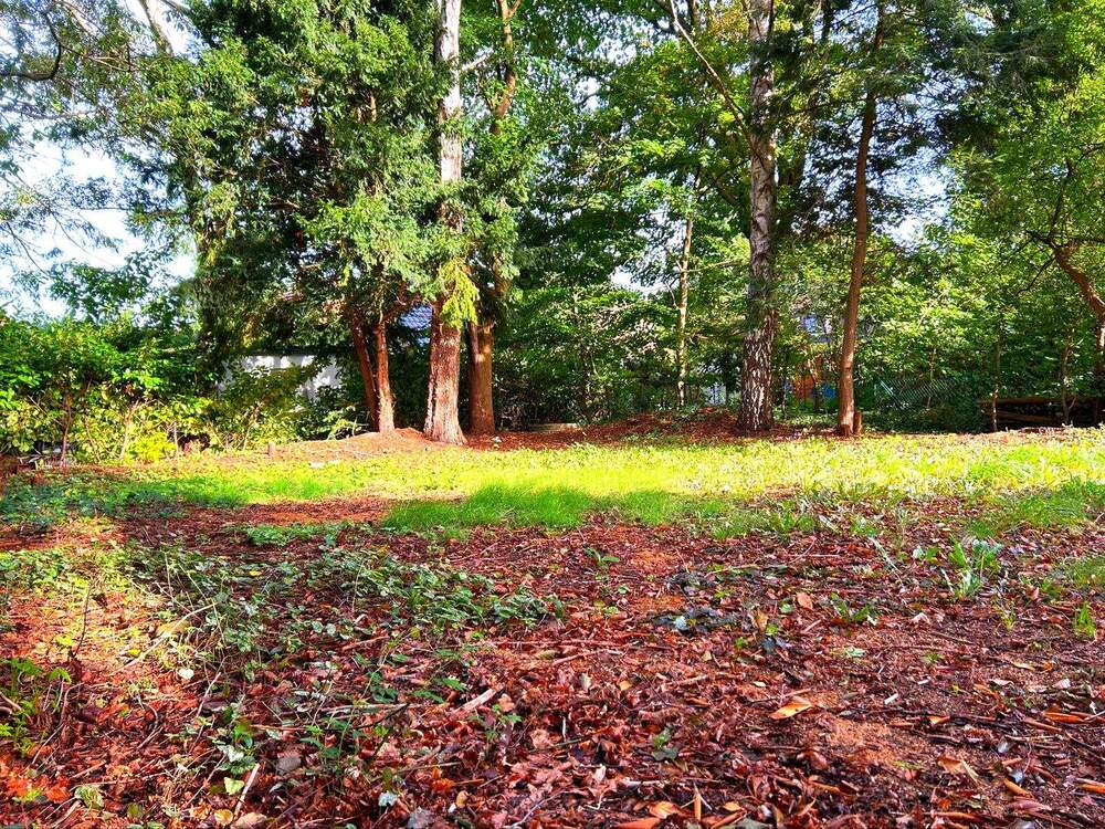 Thumbnail-Grünes Paradies im Hamburger Westen - Ruhe, Natur und Raum für Ihre Träume