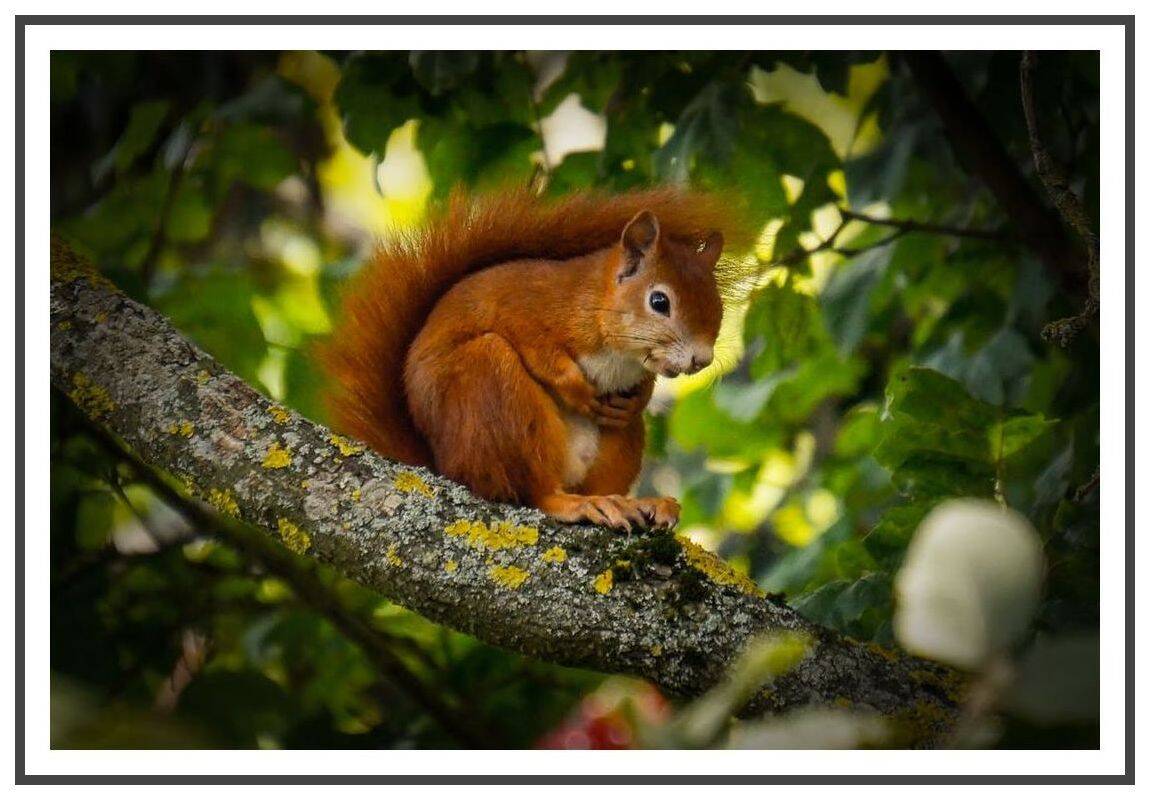 Thumbnail-Starten Sie durch den Frühling
