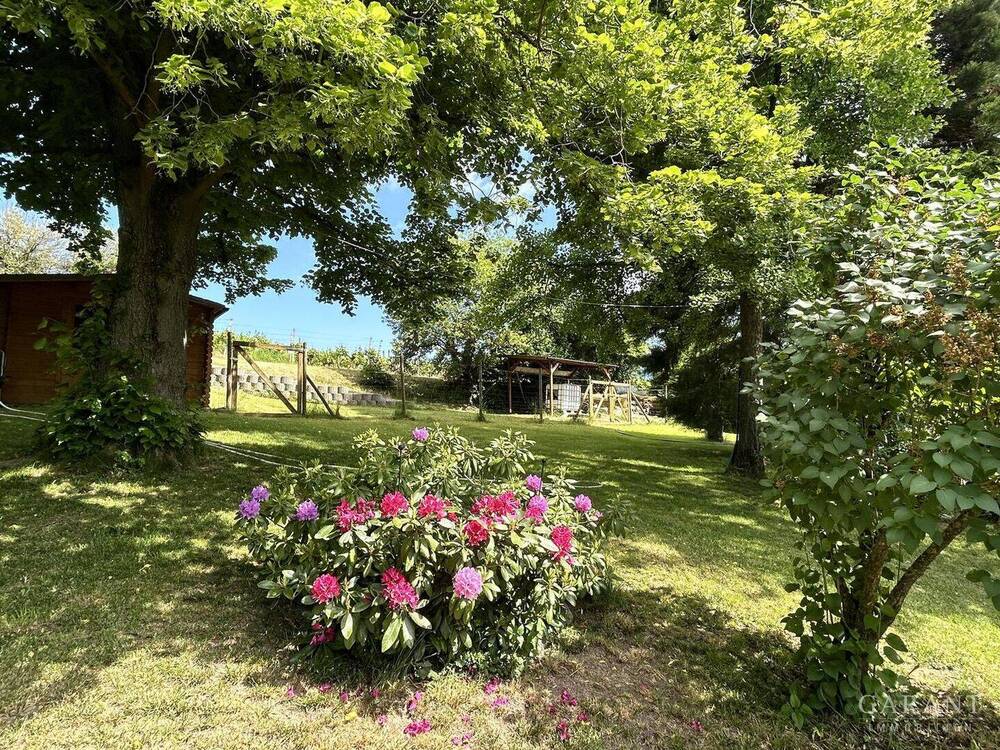 Garten 1
