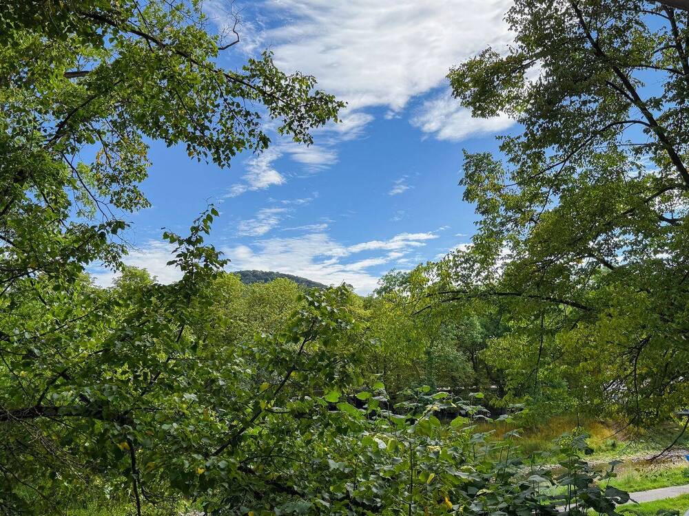 Thumbnail-Lichtverwöhnte, urbane Stadtwohnung mit Süd-Balkon in beliebter Ahrlage von Bad Neuenahr!